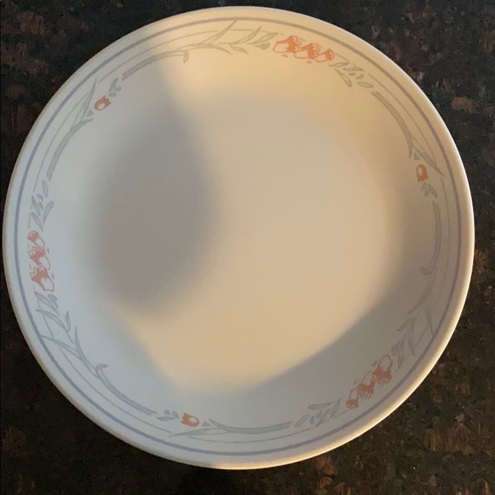 4 Corelle Rose 10.25” Dinner Plates - Picture 8 of 9